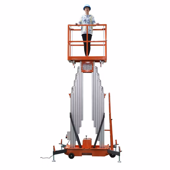 Plataforma elevatória elétrica hidráulica vertical dupla fabricante OEM de 10m